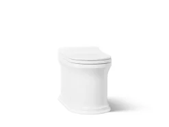 One-piece elongated smart toilet, dual-flush
