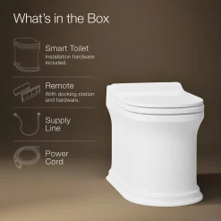One-piece elongated smart toilet, dual-flush