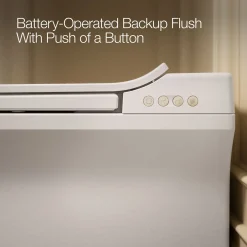 One-piece elongated smart toilet, dual-flush
