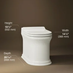One-piece elongated smart toilet, dual-flush