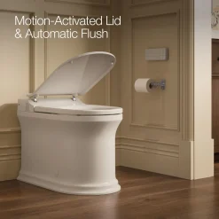 One-piece elongated smart toilet, dual-flush