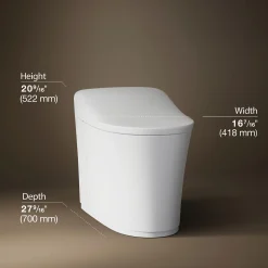One-piece elongated smart toilet, dual-flush