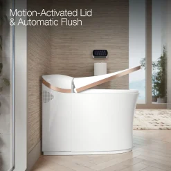 One-piece elongated smart toilet, dual-flush