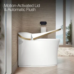 One-piece elongated smart toilet, dual-flush