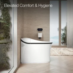 One-piece elongated smart toilet, dual-flush