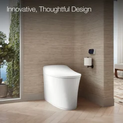 One-piece elongated smart toilet, dual-flush