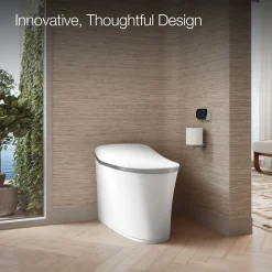 One-piece elongated smart toilet, dual-flush