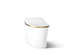 One-piece elongated smart toilet, dual-flush