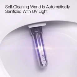 One-piece elongated smart toilet, dual-flush
