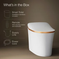 One-piece elongated smart toilet, dual-flush