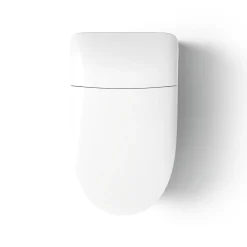 One-piece elongated smart toilet, dual-flush