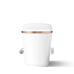 One-piece elongated smart toilet, dual-flush