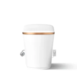 One-piece elongated smart toilet, dual-flush