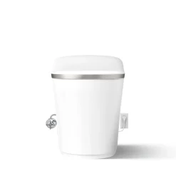 One-piece elongated smart toilet, dual-flush