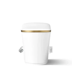 One-piece elongated smart toilet, dual-flush