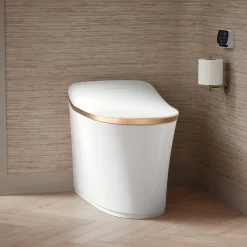 One-piece elongated smart toilet, dual-flush