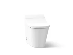 One-piece elongated smart toilet, dual-flush