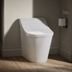 One-piece elongated smart toilet, dual-flush