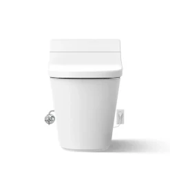 One-piece elongated smart toilet, dual-flush