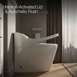 One-piece elongated smart toilet, dual-flush