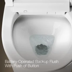 One-piece elongated smart toilet, dual-flush