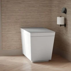 One-piece elongated smart toilet, dual-flush