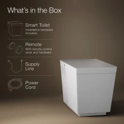 One-piece elongated smart toilet, dual-flush
