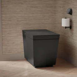 One-piece elongated smart toilet, dual-flush