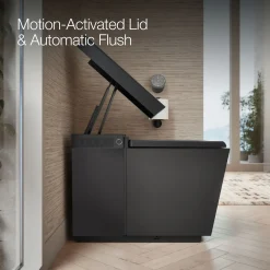 One-piece elongated smart toilet, dual-flush