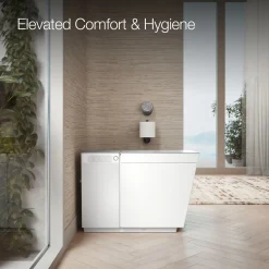 One-piece elongated smart toilet, dual-flush