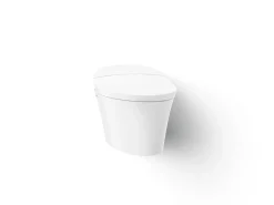 One-piece elongated smart toilet, dual-flush