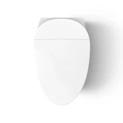 One-piece elongated smart toilet, dual-flush