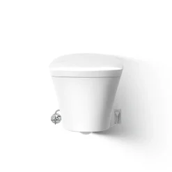 One-piece elongated smart toilet, dual-flush