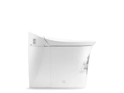 One-piece elongated smart toilet, dual-flush