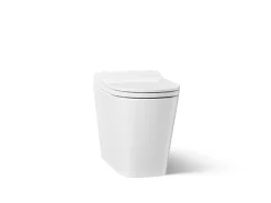 One-piece elongated toilet, dual-flush