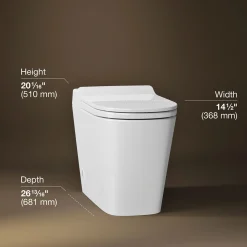 One-piece elongated toilet, dual-flush
