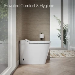 One-piece elongated toilet, dual-flush