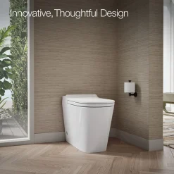 One-piece elongated toilet, dual-flush