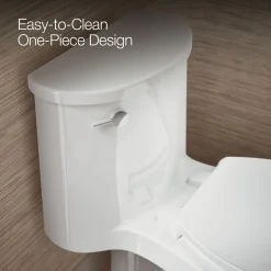 One-piece elongated toilet, 1.28 gpf