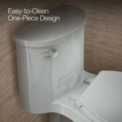 One-piece elongated toilet, 1.28 gpf