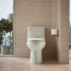 One-piece elongated toilet, 1.28 gpf