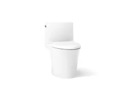 One-piece elongated toilet with skirted trapway, dual-flush