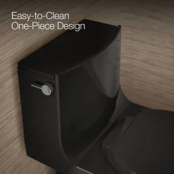 One-piece elongated toilet with skirted trapway, dual-flush