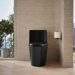 One-piece elongated toilet with skirted trapway, dual-flush
