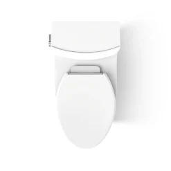 One-piece elongated toilet with skirted trapway, dual-flush