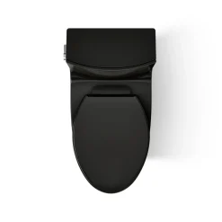 One-piece elongated toilet with skirted trapway, dual-flush