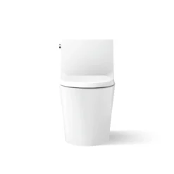 One-piece elongated toilet with skirted trapway, dual-flush