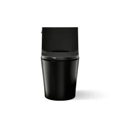 One-piece elongated toilet with skirted trapway, dual-flush