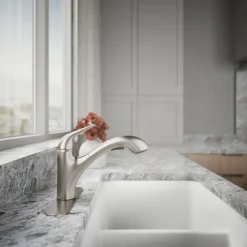 Pull-out kitchen sink faucet with two-function sprayhead