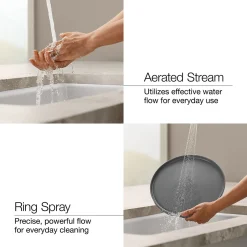 Pull-out kitchen sink faucet with two-function sprayhead